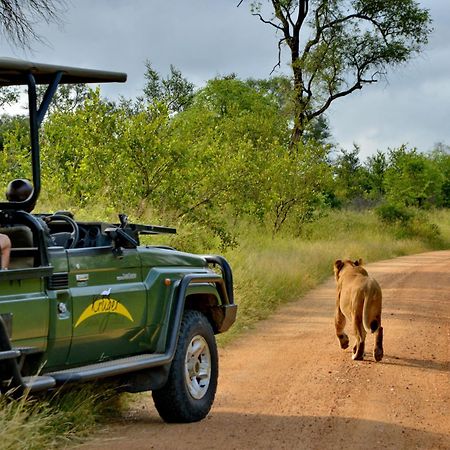Kruger Safari Lodge Domaine de chasse de Manyeleti Extérieur photo