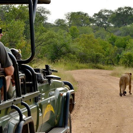 Kruger Safari Lodge Domaine de chasse de Manyeleti Extérieur photo