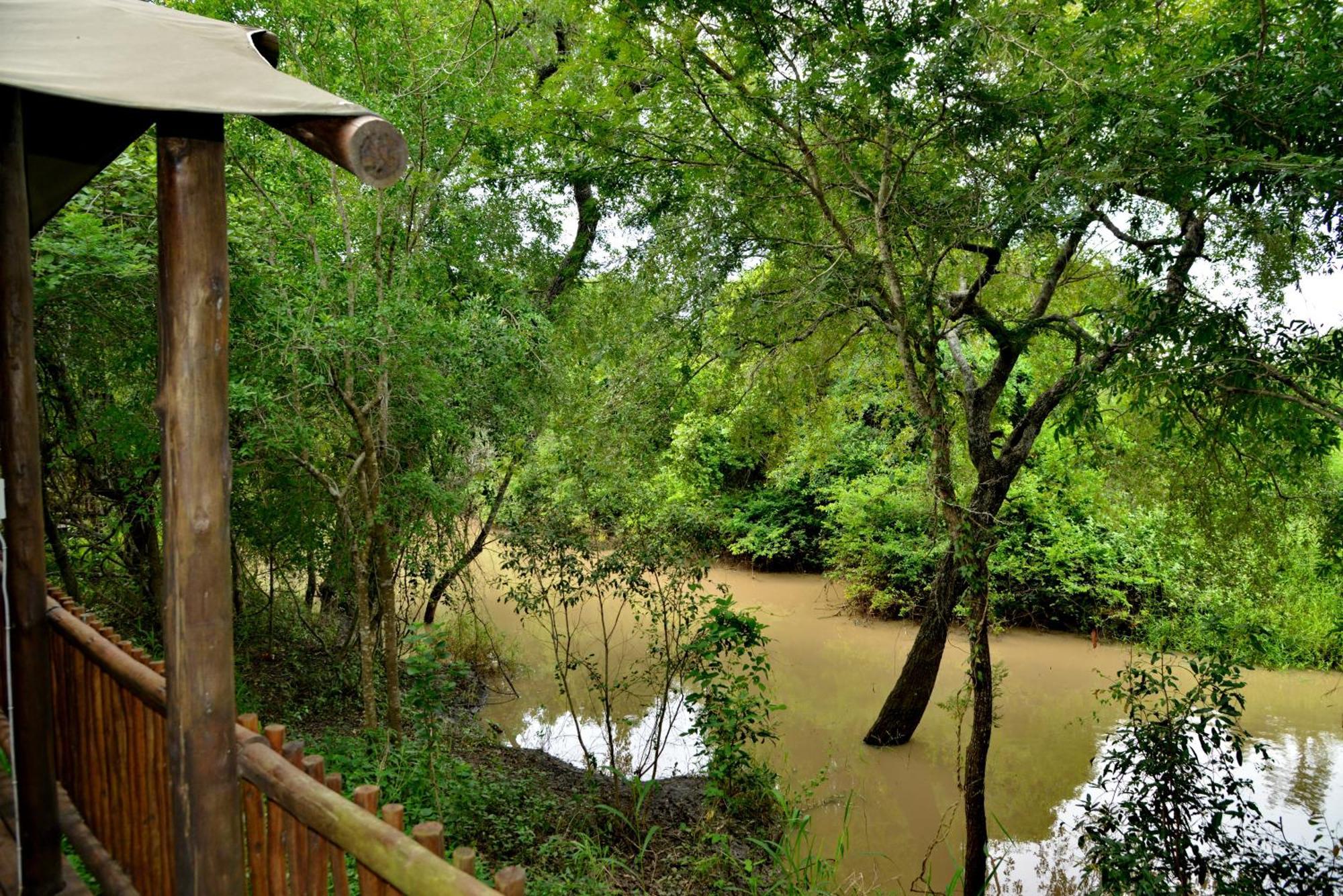 Kruger Safari Lodge Domaine de chasse de Manyeleti Extérieur photo