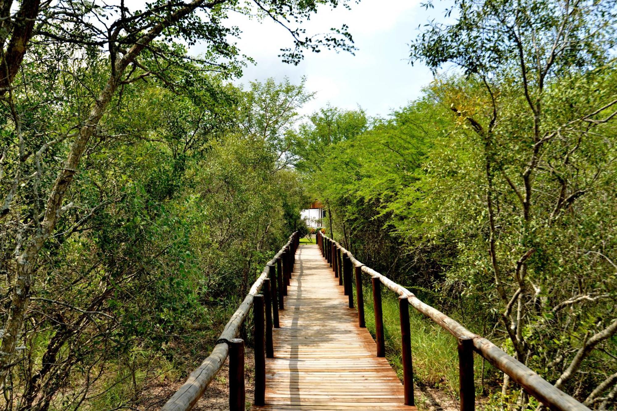 Kruger Safari Lodge Domaine de chasse de Manyeleti Extérieur photo