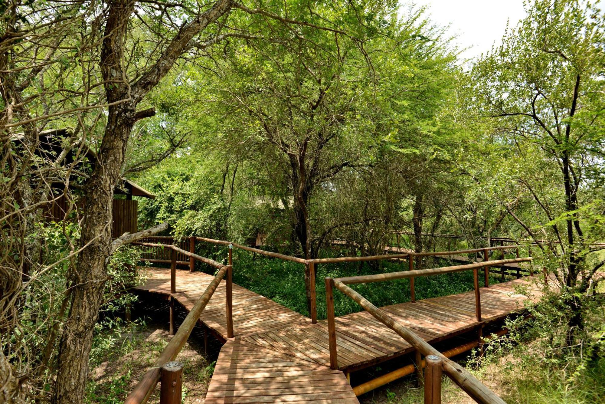 Kruger Safari Lodge Domaine de chasse de Manyeleti Extérieur photo