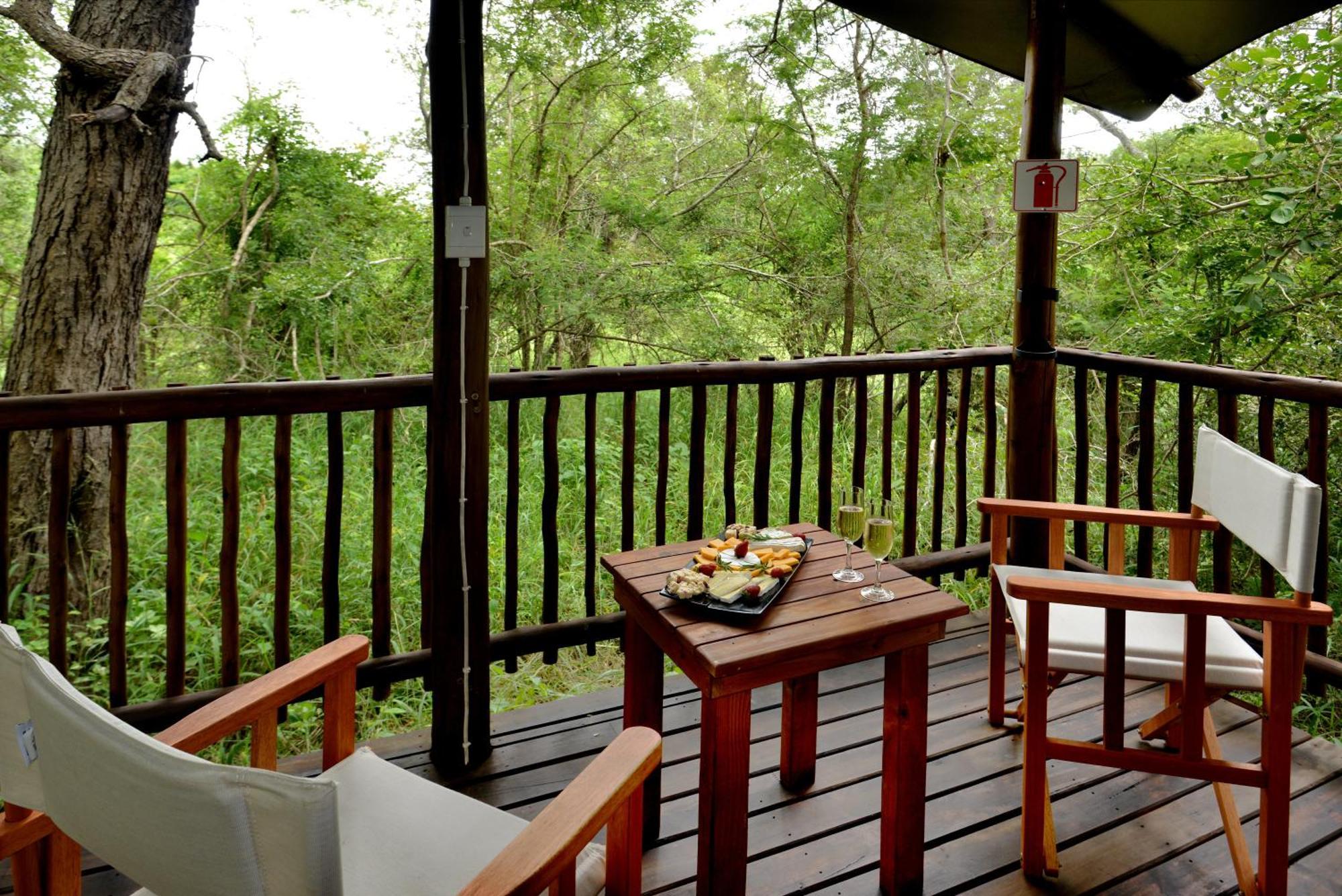 Kruger Safari Lodge Domaine de chasse de Manyeleti Extérieur photo
