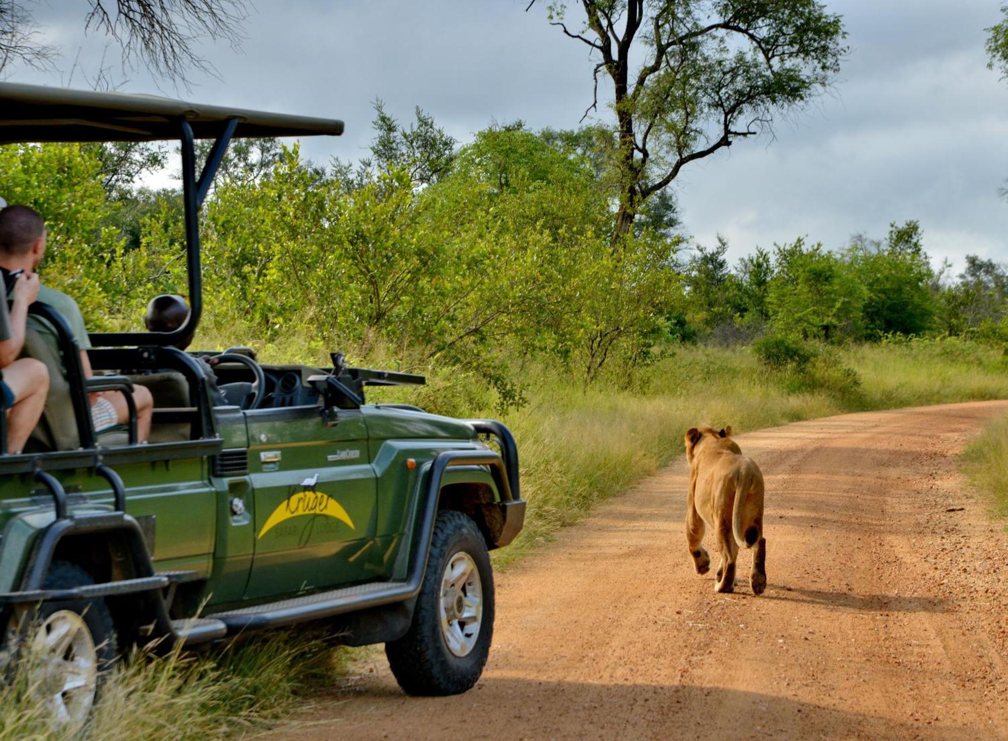 Kruger Safari Lodge Domaine de chasse de Manyeleti Extérieur photo