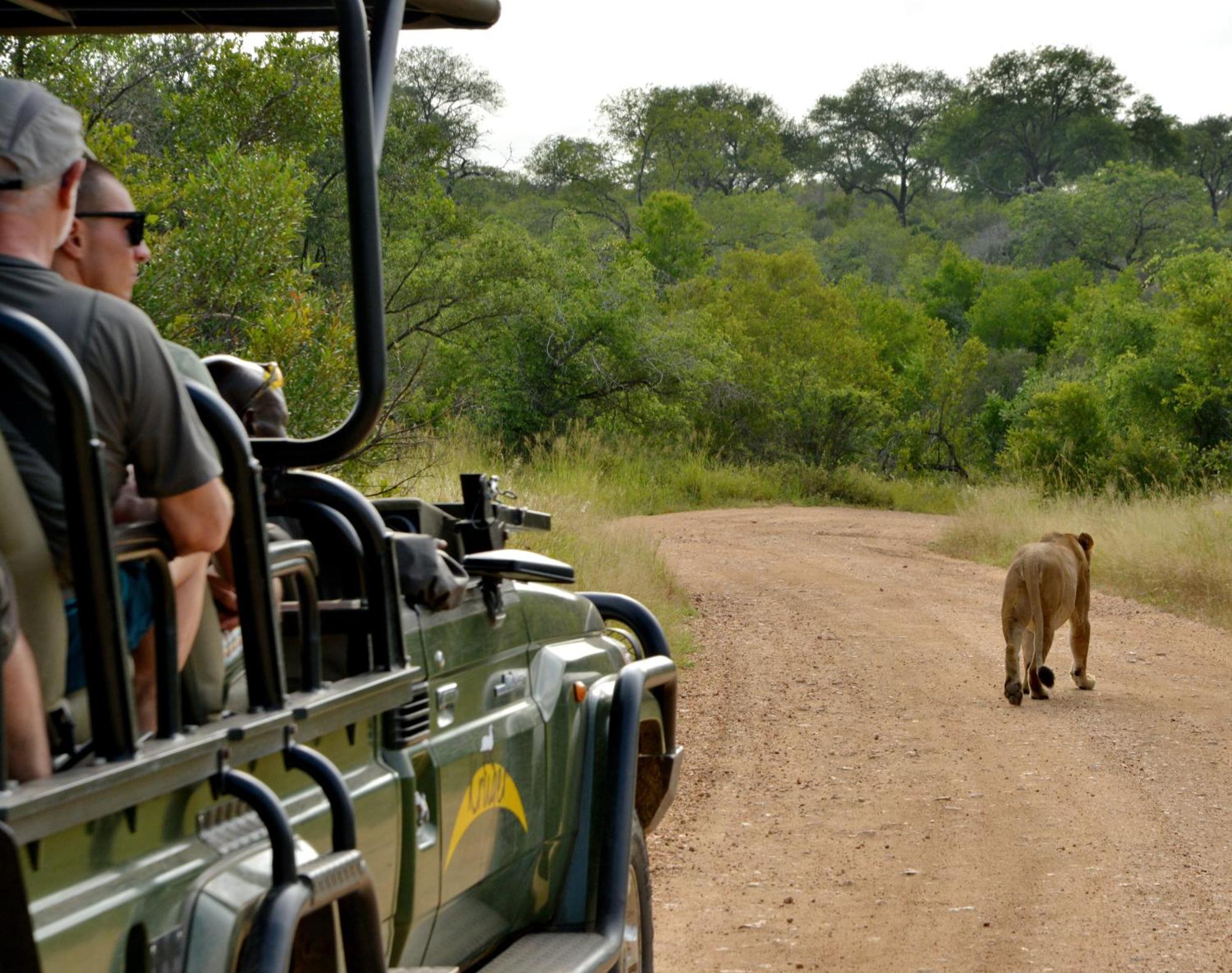 Kruger Safari Lodge Domaine de chasse de Manyeleti Extérieur photo